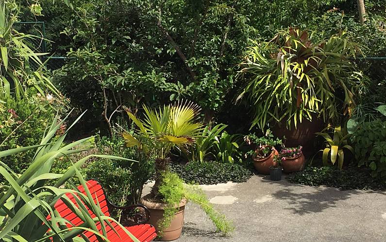 Casa Jardim Ilha de São Miguel Ponta Delgada casa - Jardim