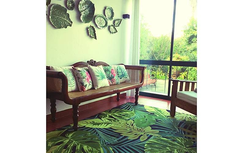 Casa Jardim Ilha de São Miguel Ponta Delgada casa - Jardim