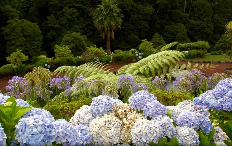 Apartamento Ilha de São Miguel Ribeira Grande Apartamento - 