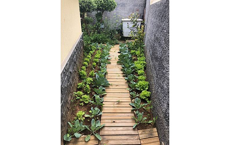 Casa Ilha da Madeira Câmara de Lobos Casa rural - 