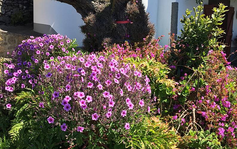 Casa Ilha da Madeira Calheta - R.A.M. casa - 