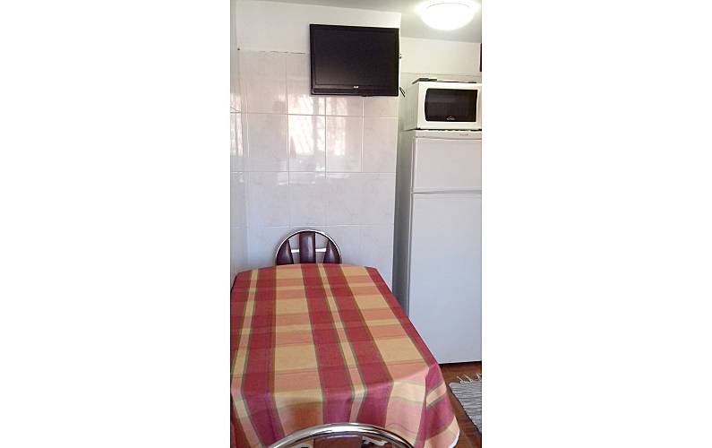 Apartamento Ilha da Madeira Ribeira Brava Apartamento - 