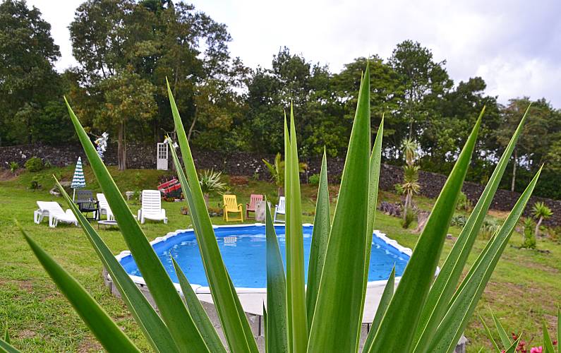 Vivenda Jardim Ilha de São Miguel Ponta Delgada Villa rural - Jardim