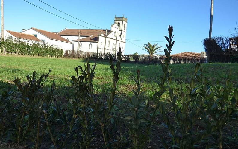 Vivenda Ilha de São Miguel Nordeste Villa rural - 