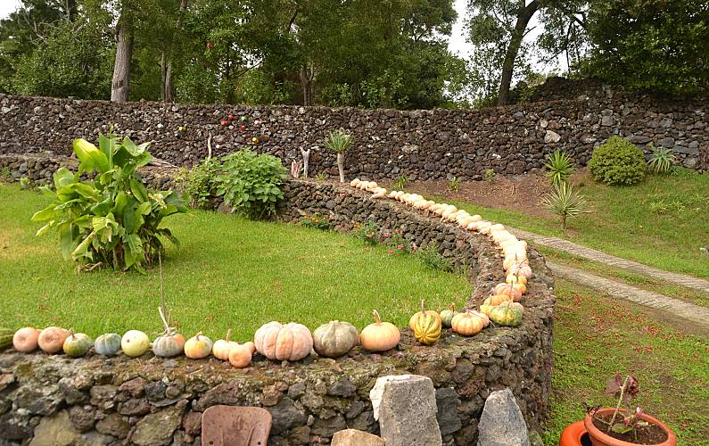 Vivenda Ilha de São Miguel Ponta Delgada vivenda - 