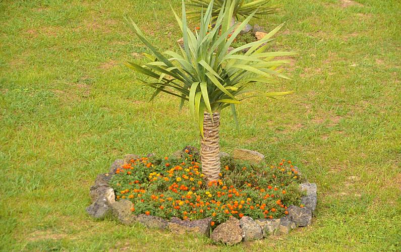 Vivenda Ilha de São Miguel Ponta Delgada vivenda - 