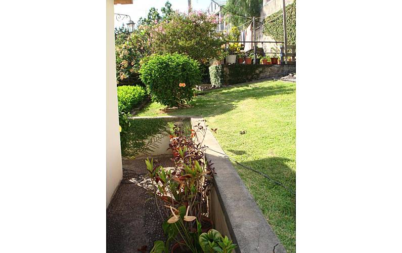 Apartamento Jardim Ilha da Madeira Funchal Apartamento - Jardim