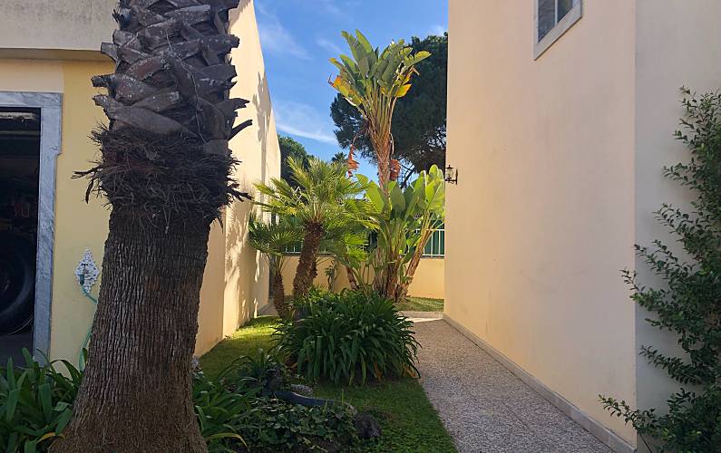 Villa de 5 chambres à 1500 m de la plage 3