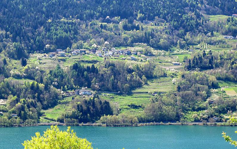 Apartment For Rent In Trentino Alto Adige Sudtirol Campregheri