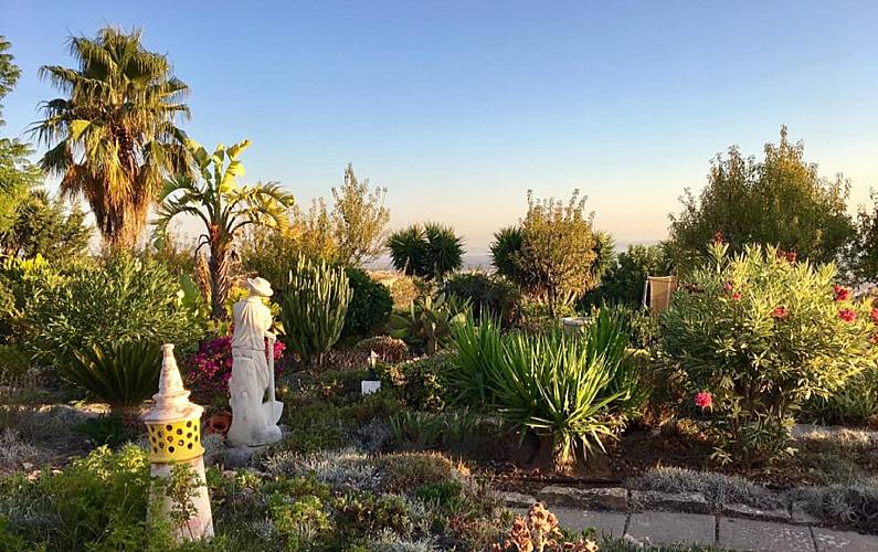 Maison Vues à partir de la maison Algarve-Faro Loulé Gîte maison - Vues à partir de la maison