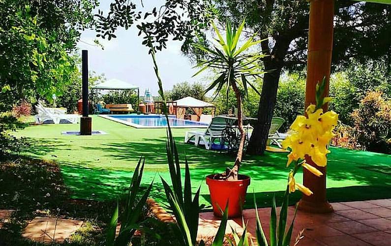 House Terrace Algarve-Faro Silves Cottage - Terrace
