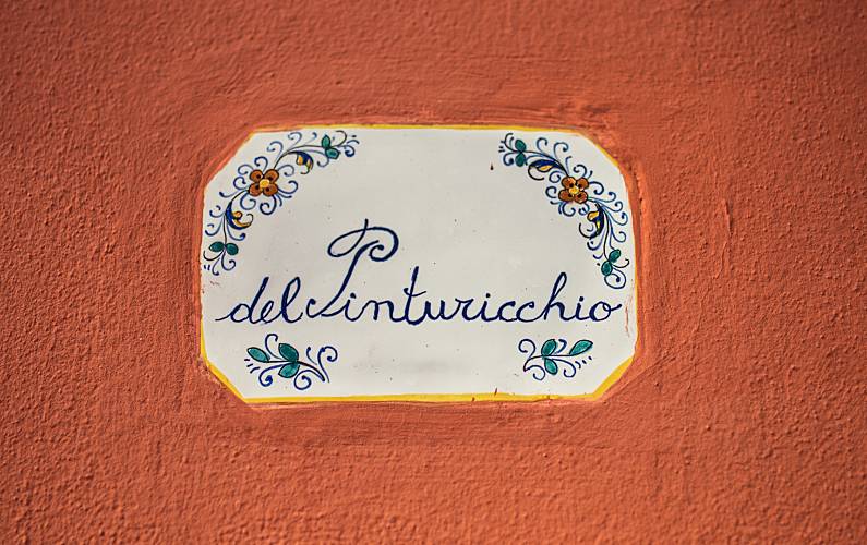 Maison pour 4-6 personnes avec piscine 5