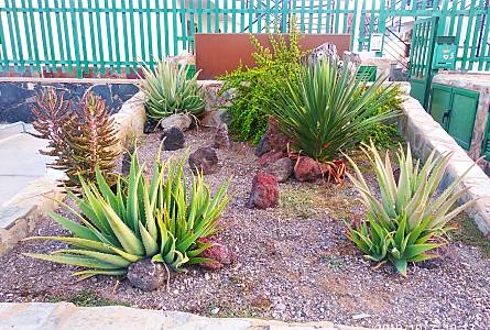 Appartamento Parte esterna della casa Gran Canaria San Bartolomé de Tirajana Appartamento - Parte esterna della casa