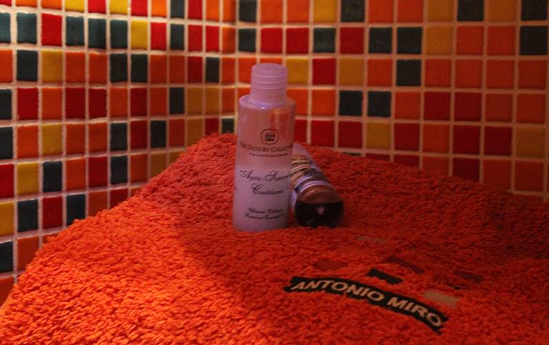 Apartamento Casa-de-banho Huesca Sallent de Gállego Apartamento - Casa-de-banho