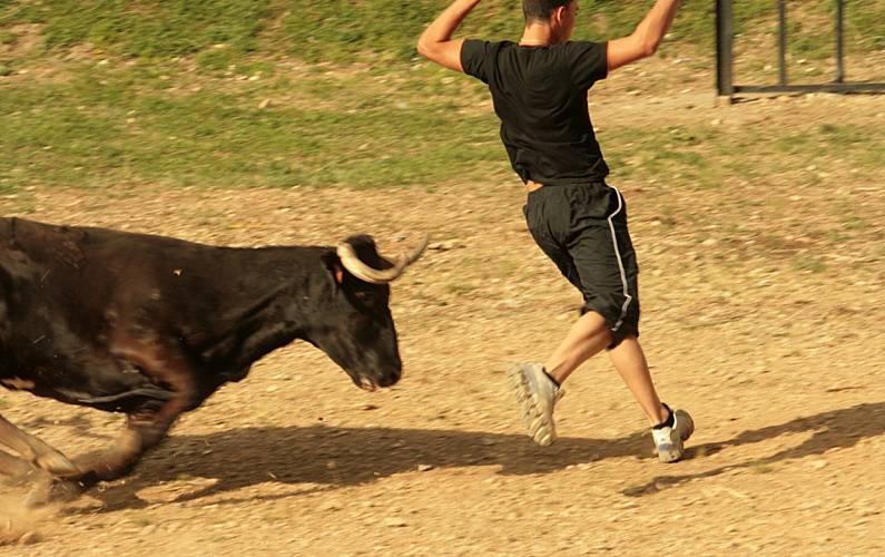 Casa Outros Teruel Villarroya de los Pinares Casa rural - Outros