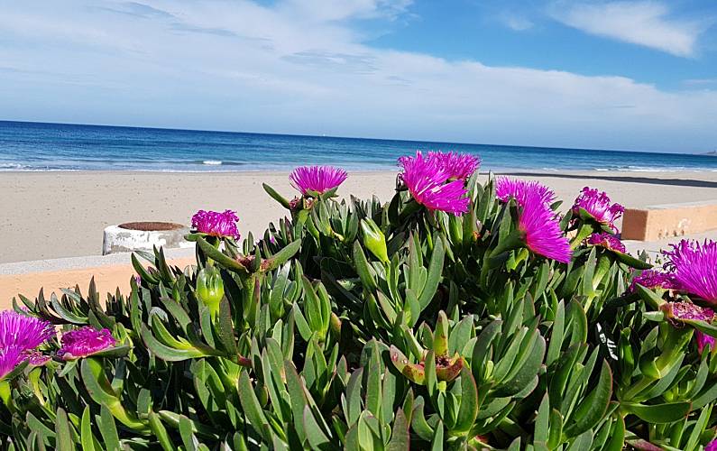 Villa Nearby activities Murcia San Javier villa - Nearby activities