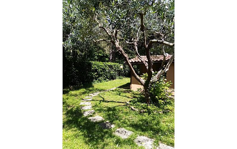 Haus Garten Rom Trevignano Romano Ferienhaus auf dem land - Garten