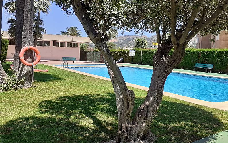 Wohnung Schwimmbad Alicante Benidorm Ferienwohnung - Schwimmbad