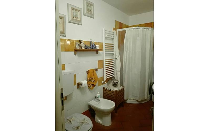 Wohnung Badezimmer Livorno Piombino Ferienwohnung - Badezimmer