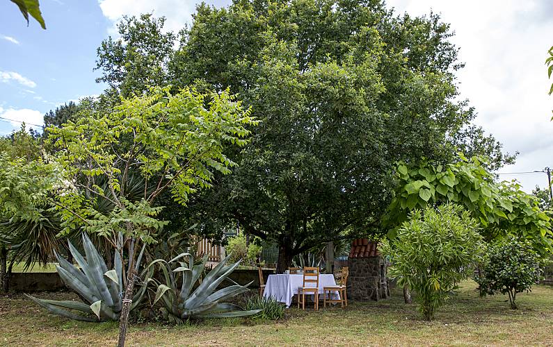 Maison Jardin Ourense O Pereiro de Aguiar Gîte maison - Jardin