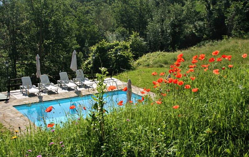 Haus Schwimmbad Asti Monastero Bormida Ferienwohnung - Schwimmbad
