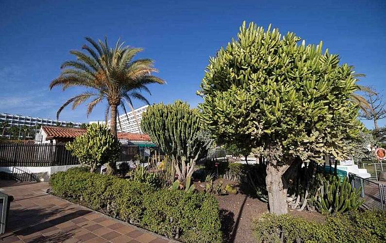  Gran Canaria San Bartolomé de Tirajana Ferienhaus - 
