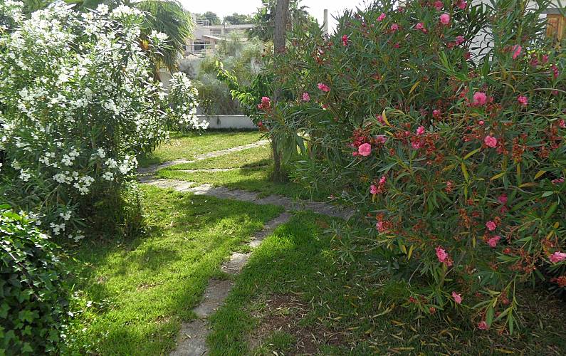 Casa Mallorca Santa Margalida Ferienhaus - 