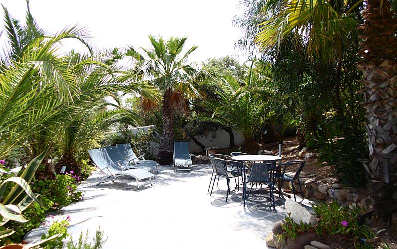 Villa Terrasse Almería Níjar villa - Terrasse