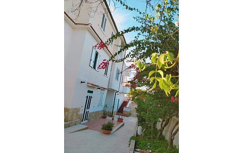  Swimming pool Foggia Vieste villa - Swimming pool