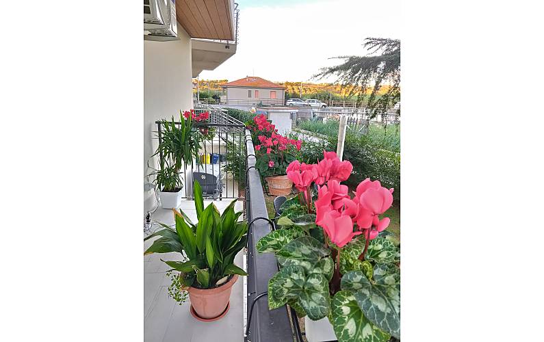 Villa Terrazza Pescara Città Sant'Angelo villa - Terrazza