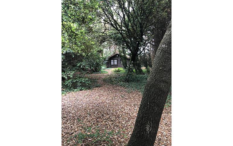 House Cantabria Miengo villa - 