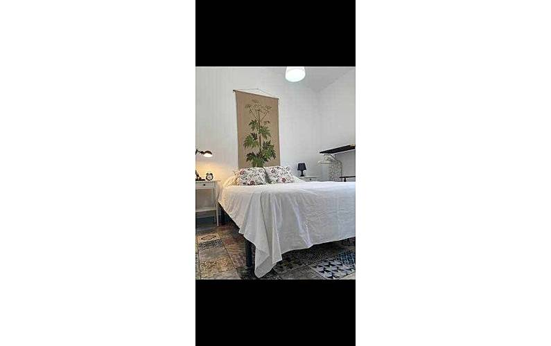  Cádiz Vejer de la Frontera Ferienhaus - 