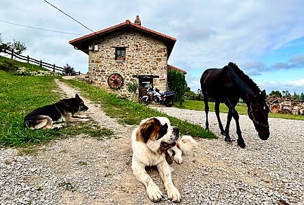 Casa Parte esterna della casa Cantabria Liérganes Casa di campagna - Parte esterna della casa