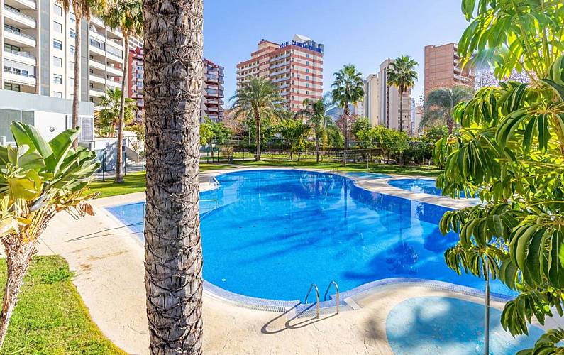 Wohnung Schwimmbad Alicante Benidorm Ferienwohnung - Schwimmbad