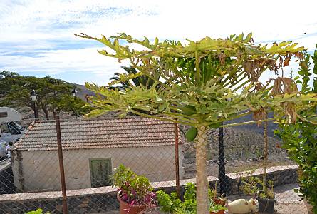  La Gomera Alajeró Casa di campagna - 