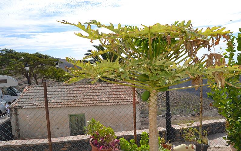  La Gomera Alajeró Cottage - 
