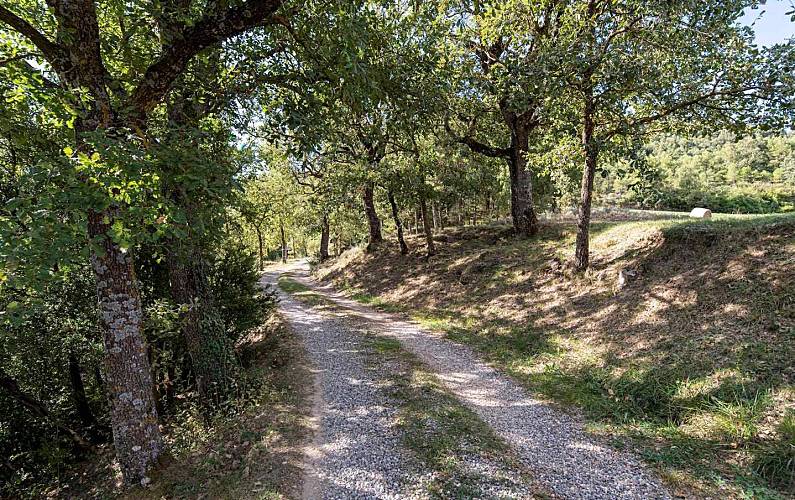 House Lerida Lladurs Cottage - 