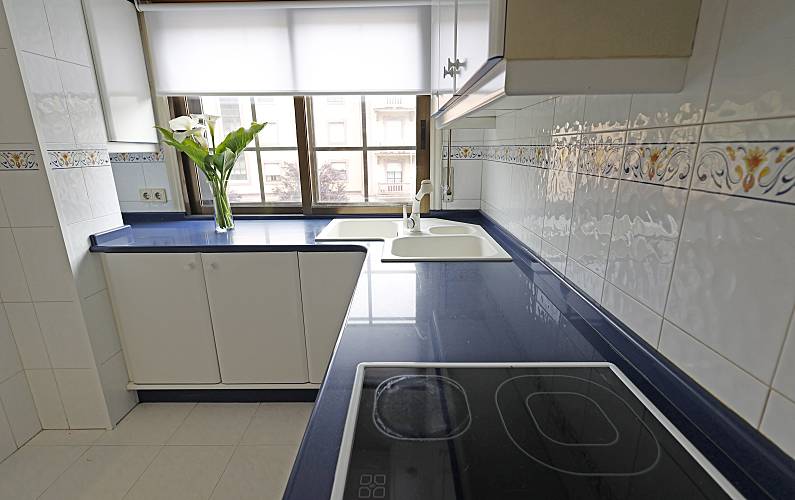Apartment Kitchen Pontevedra Pontevedra Apartment - Kitchen