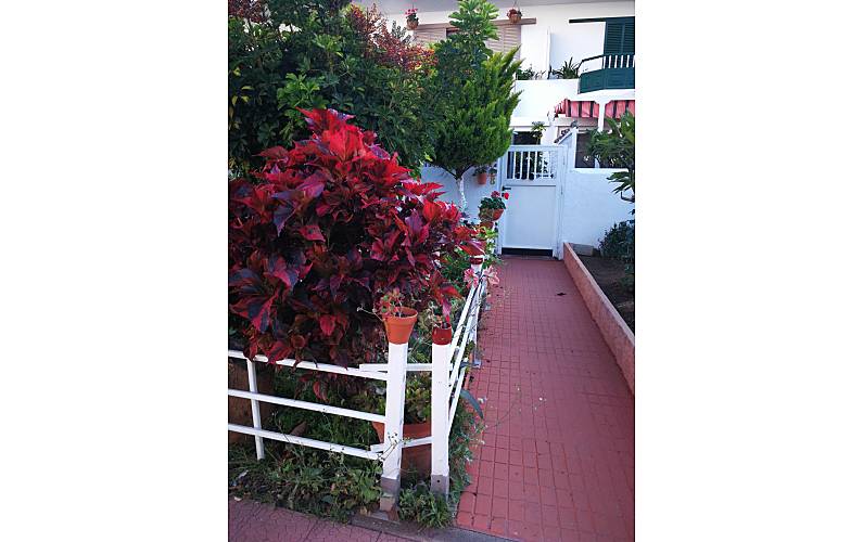 Maison Ténériffe Puerto de la Cruz maison - 
