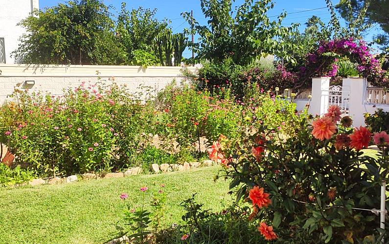 Villa Garten Tarragona Roda de Barà villa - Garten