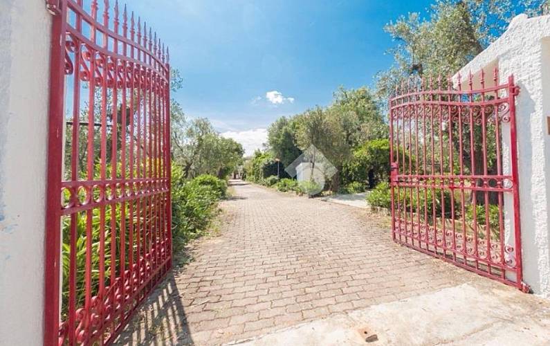 Villa Foggia Vieste villa - 