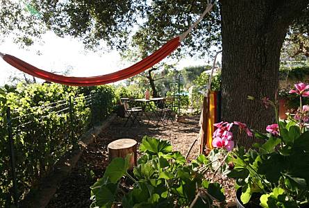 Villetta Bari Monopoli Casa di campagna - 