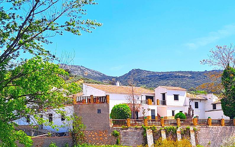 Suitur Granada Algarinejo Cottage - 