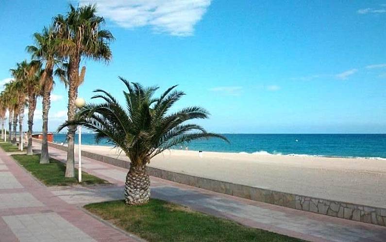 Villa Tarragone Deltebre villa - 