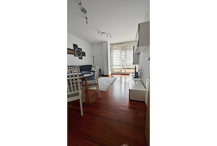 Appartement Salon Cantabrie Santa Cruz de Bezana Appartement - Salon