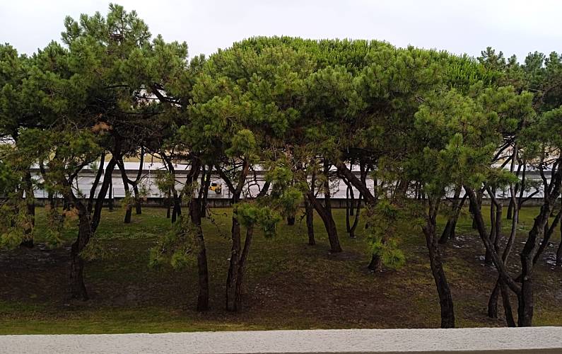 Mogro Cantabria Santander Apartment - 