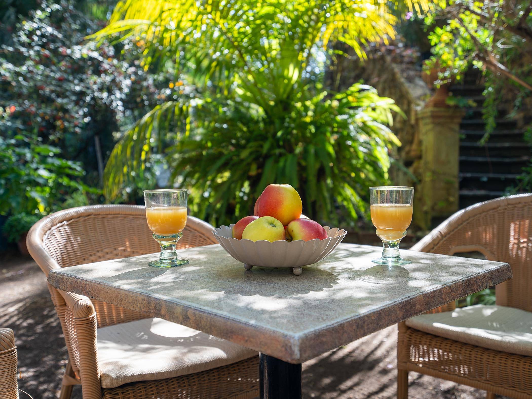 Alquiler apartamentos vacacionales en La Solana - Telde y casas rurales |  Página 3