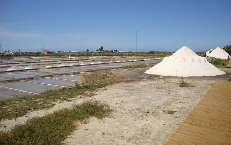 T2 Actividades próximas Aveiro Ílhavo Apartamento - Actividades próximas