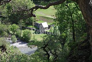2 Casas con jardín privado