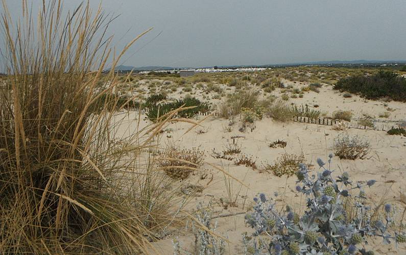 Apartamento Arredores Algarve-Faro Tavira Apartamento - Arredores